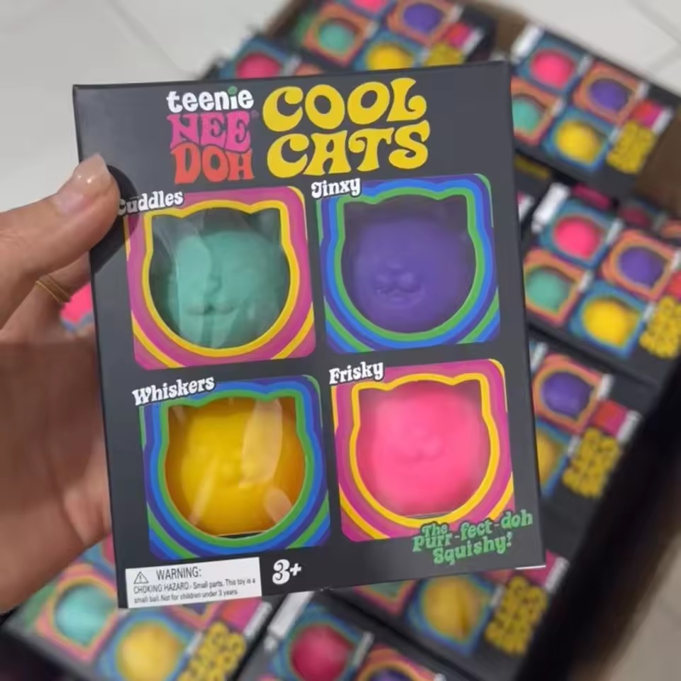 Schylling NeeDoh Nice Cube Sen - Fidget Cube Original avis et prix