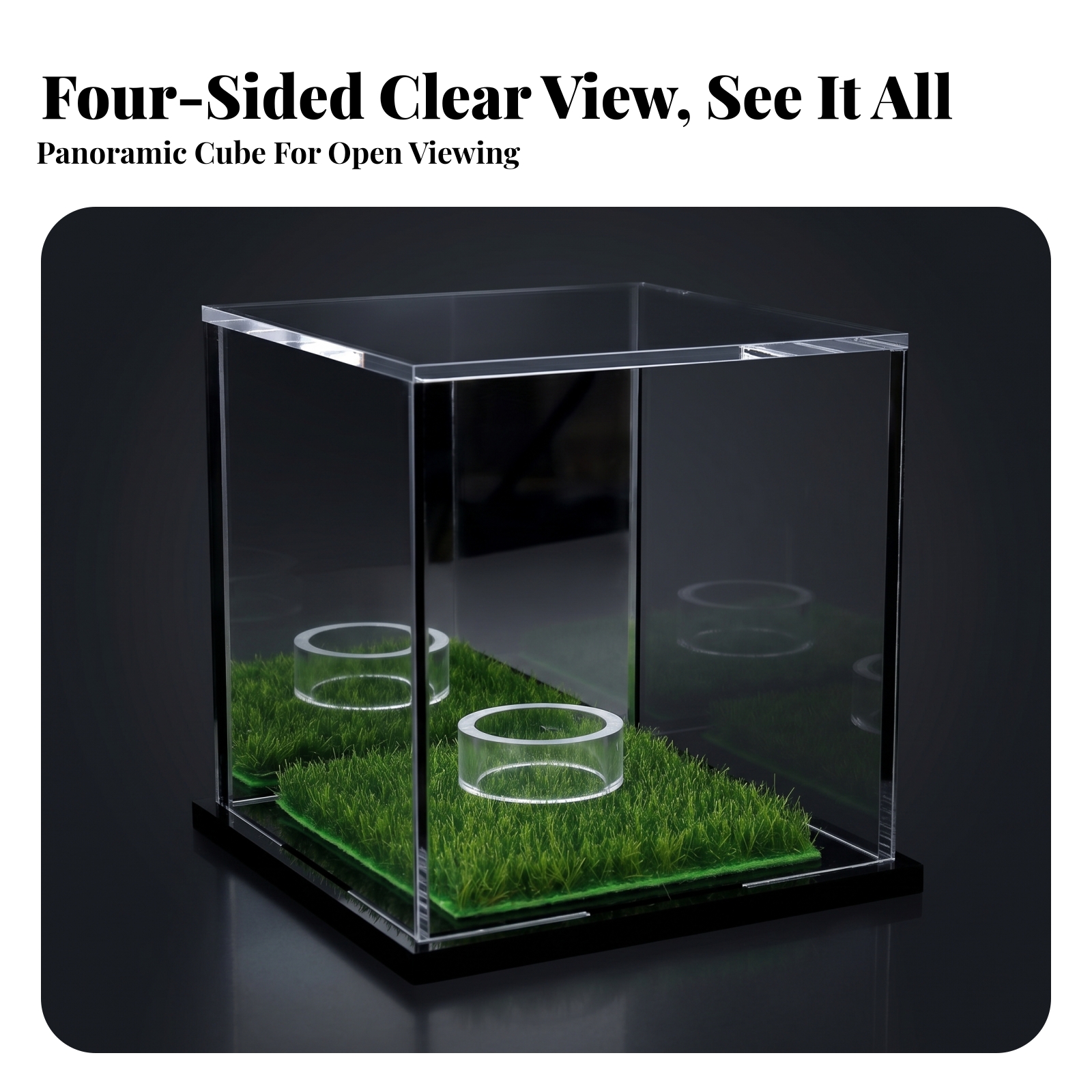 Acrylic Display Case Easy to C - Display Case Acrylic avis et prix