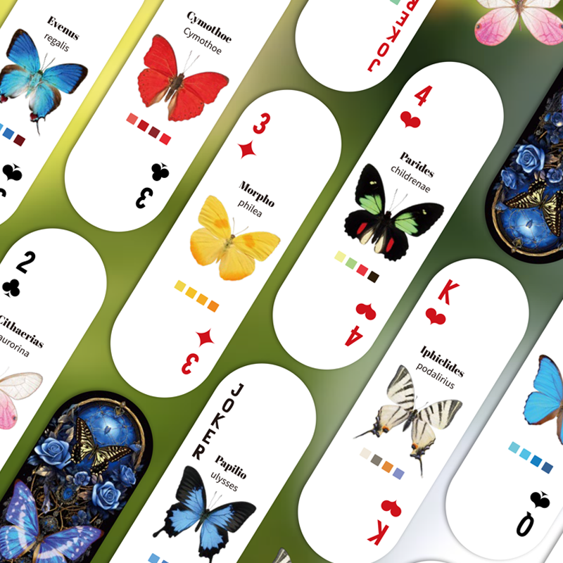 Mr.Paper Table Card Game 54/Bo - Graded Card Display avis et prix